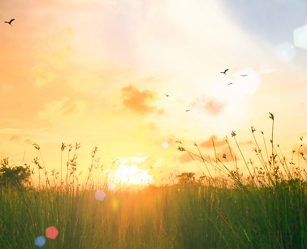 Memorial-Honoarium-sunset-shutterstock_323101352 - CROPPED